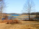 Maine Marsh