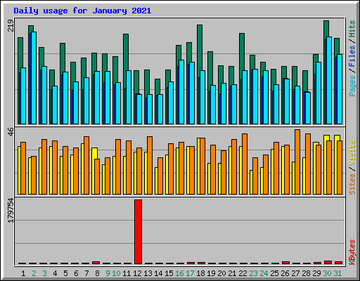 Daily usage for January 2021