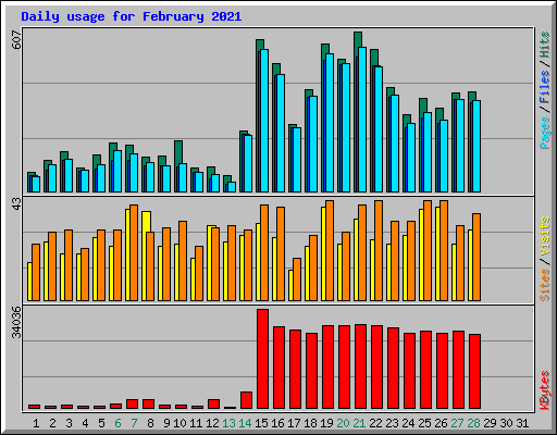 Daily usage for February 2021