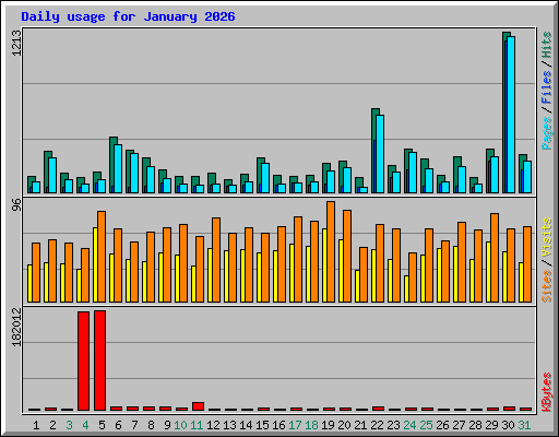 Daily usage for January 2026