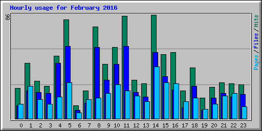 Hourly usage for February 2016