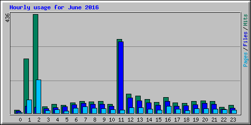 Hourly usage for June 2016