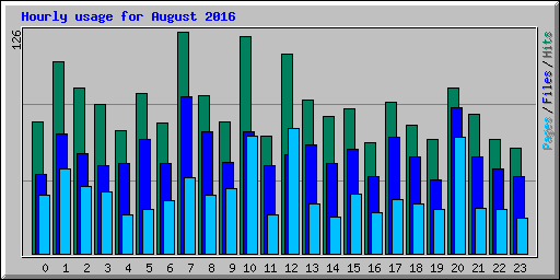 Hourly usage for August 2016