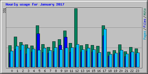 Hourly usage for January 2017