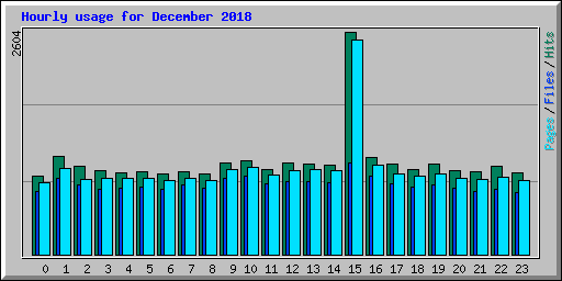 Hourly usage for December 2018