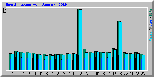 Hourly usage for January 2019