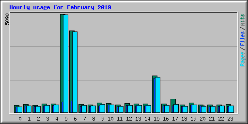 Hourly usage for February 2019
