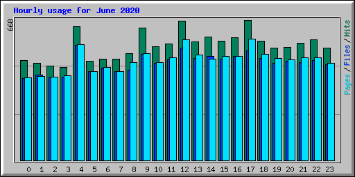 Hourly usage for June 2020