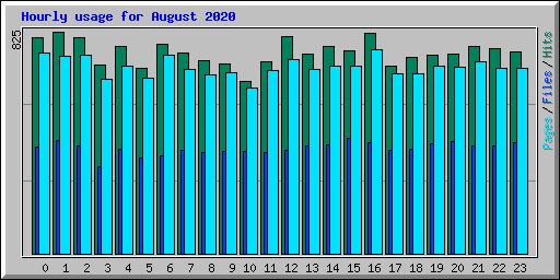 Hourly usage for August 2020