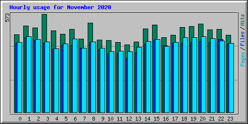 Hourly usage for November 2020