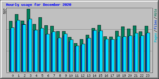 Hourly usage for December 2020