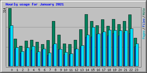 Hourly usage for January 2021