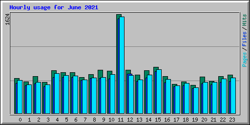 Hourly usage for June 2021