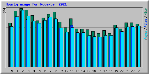 Hourly usage for November 2021