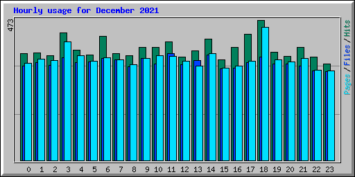 Hourly usage for December 2021