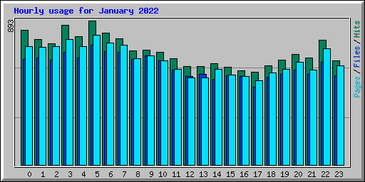 Hourly usage for January 2022