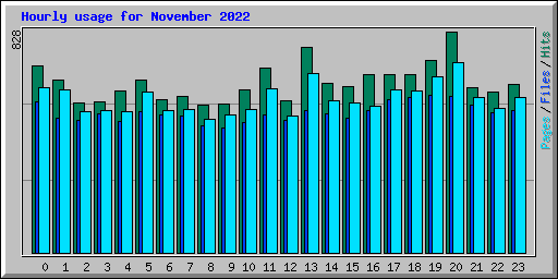 Hourly usage for November 2022