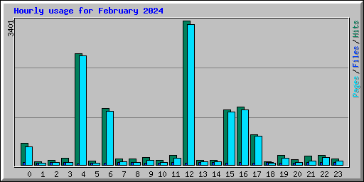 Hourly usage for February 2024