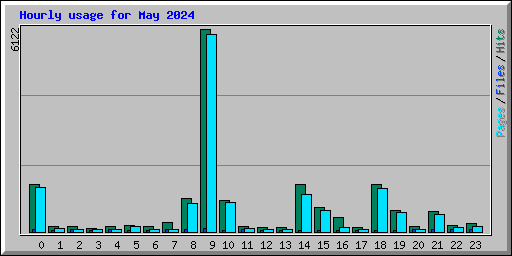 Hourly usage for May 2024