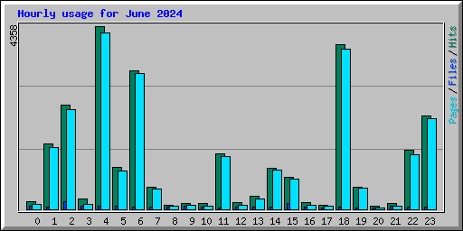 Hourly usage for June 2024