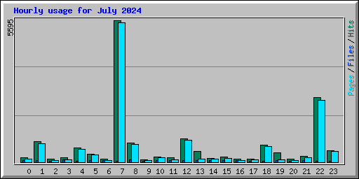 Hourly usage for July 2024