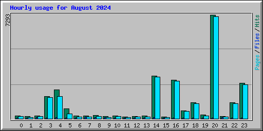 Hourly usage for August 2024