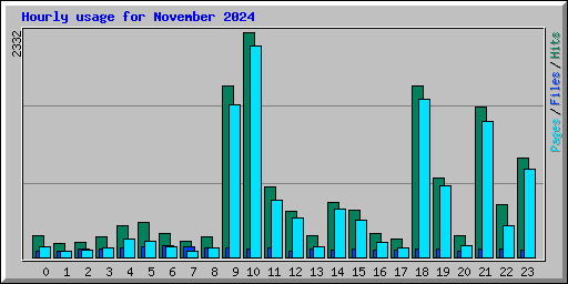 Hourly usage for November 2024