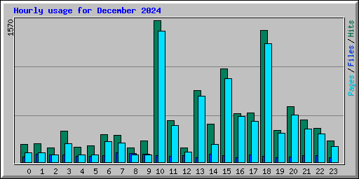 Hourly usage for December 2024