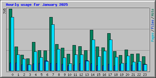 Hourly usage for January 2025