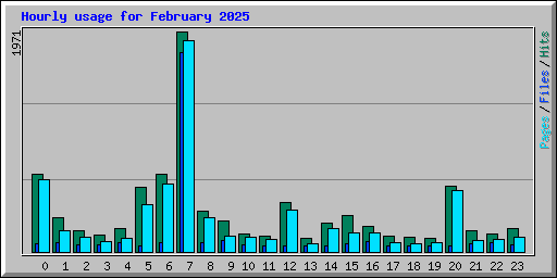 Hourly usage for February 2025