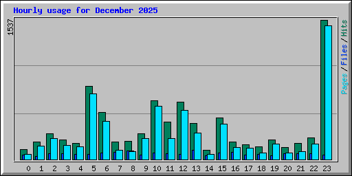 Hourly usage for December 2025