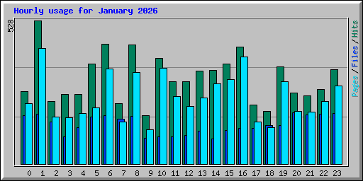 Hourly usage for January 2026